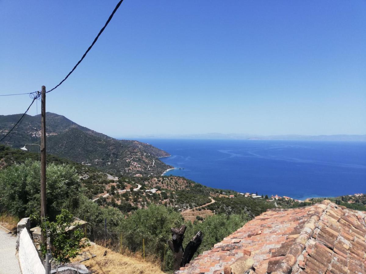 The Traditional Hause With The View *