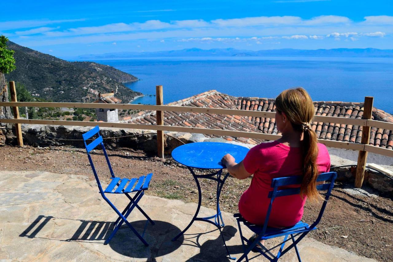 The Traditional Hause With The View